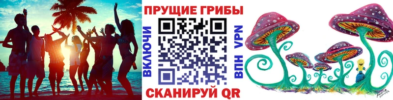 Галлюциногенные грибы MAGIC MUSHROOMS  Краснообск 